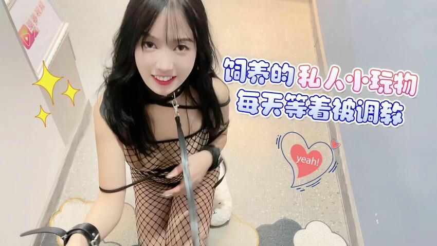 《调教日常：萝莉社的私人小玩物》
