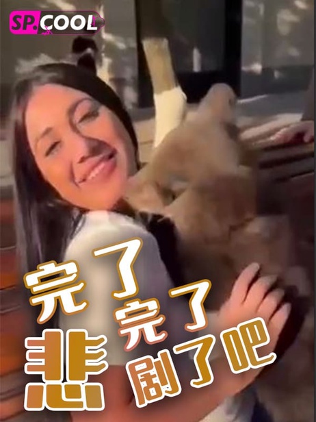 新奇视频：玩了，完了，悲剧了吧！激情四射的夜晚，她迷人呻吟，他狂野征服，尽情释放，沉浸肉欲，无法自拔的快感，