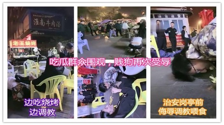 户外SM女王调教学生贱奴，语言凌辱扇耳光，引吃瓜群众围观质问，贱奴自愿当狗被骂脑子不正常 户外 调教系列