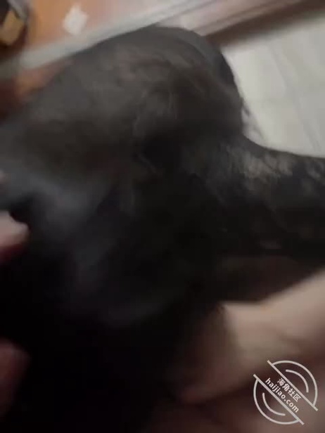 少妇49岁身体熟透渴望被征服 #少妇 #熟女 少妇熟透身体渴望征服