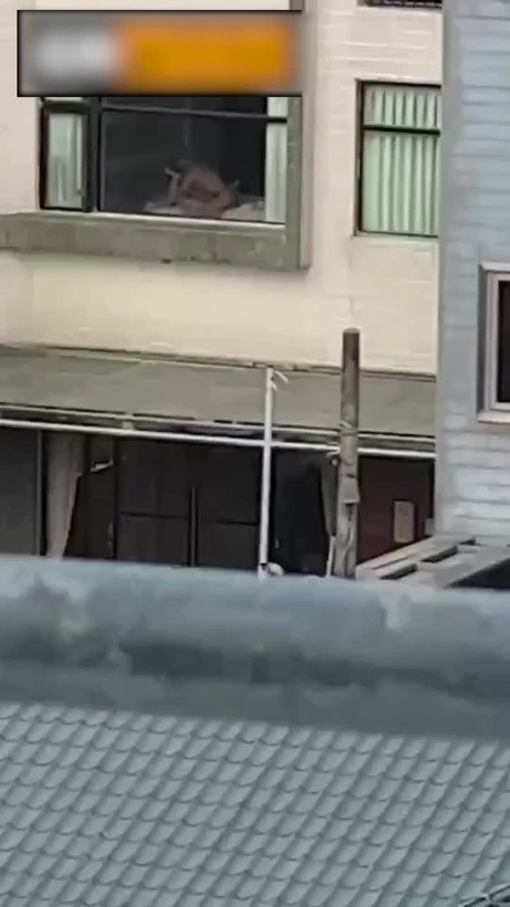 白天激情做爱不关窗，狂野呻吟如现场直播，春色满园引人遐想 #偷拍 #激情