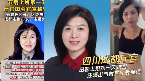 成都厅官田蓉首日落马 私密视频曝光村官激情画面