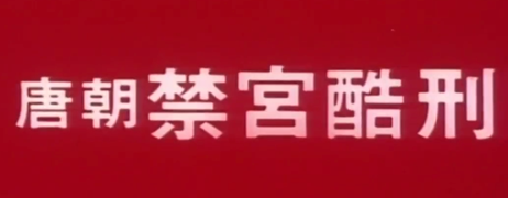 唐朝禁宫内，酷刑之下，女神娇喘呻吟，剧情跌宕，国产三级片。