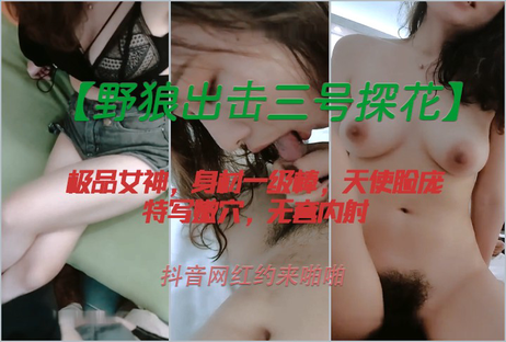 野狼出击三号探花：抖音网红诱惑挑逗，激情约会，女神对白撩人心弦