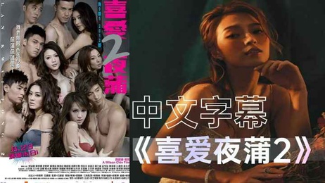 《香港夜蒲激情续篇：迷情都市》