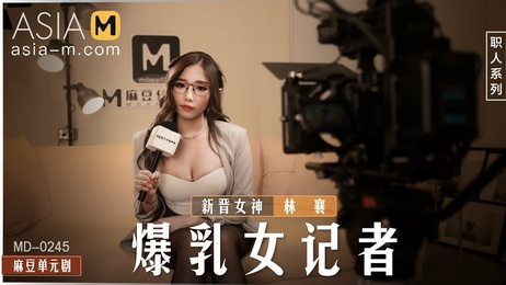 《国产AV：暴乳女记者诱惑》