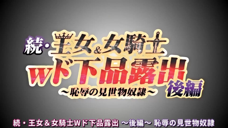 王女与女骑士续作后篇中，H漫与里番交织，激情四射的成人动画。
